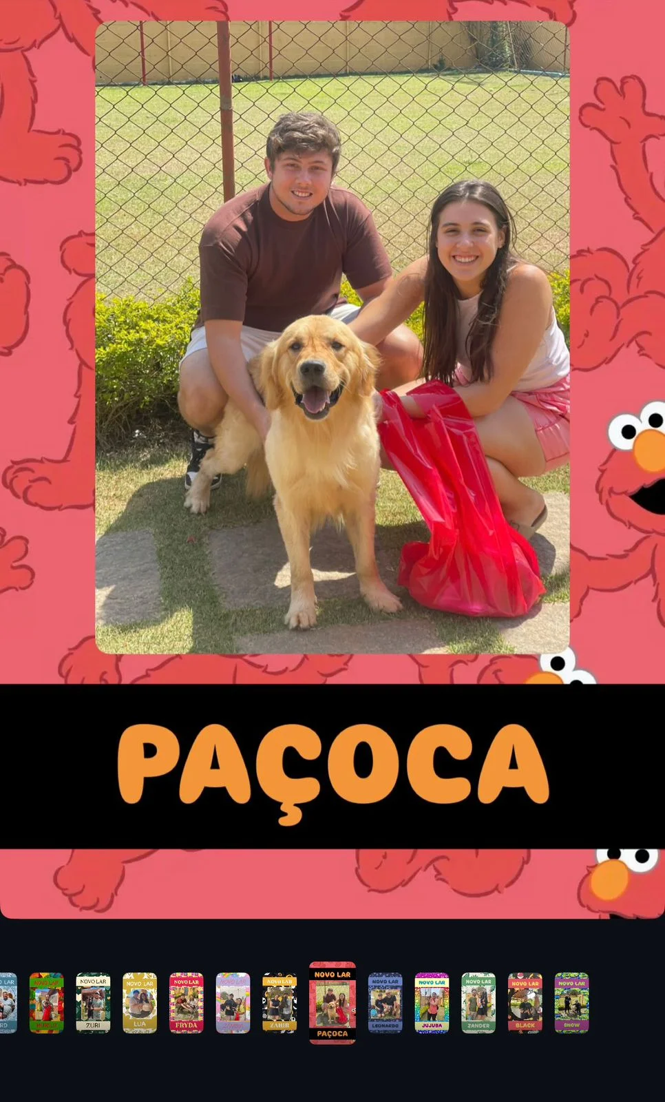 Depoimento de adoção